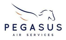 Pegasus